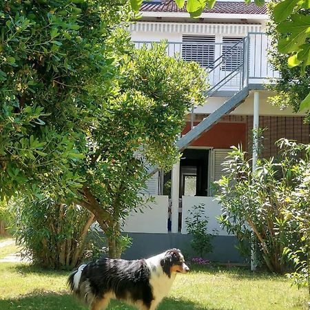 .....Und Der Hund Darf Mit Διαμέρισμα Privlaka  Εξωτερικό φωτογραφία