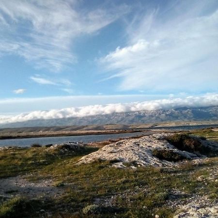 .....Und Der Hund Darf Mit Διαμέρισμα Privlaka  Εξωτερικό φωτογραφία